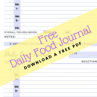 food diary pdf pin