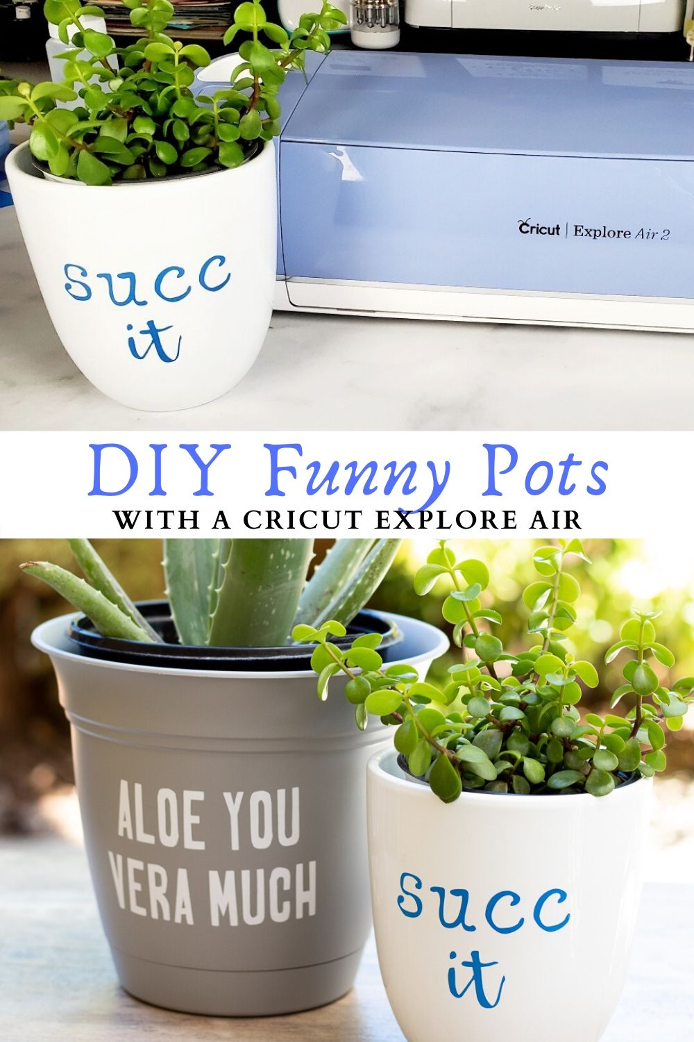 DIY Funny Succulent Pots using a Cricut! - Leap of Faith Crafting