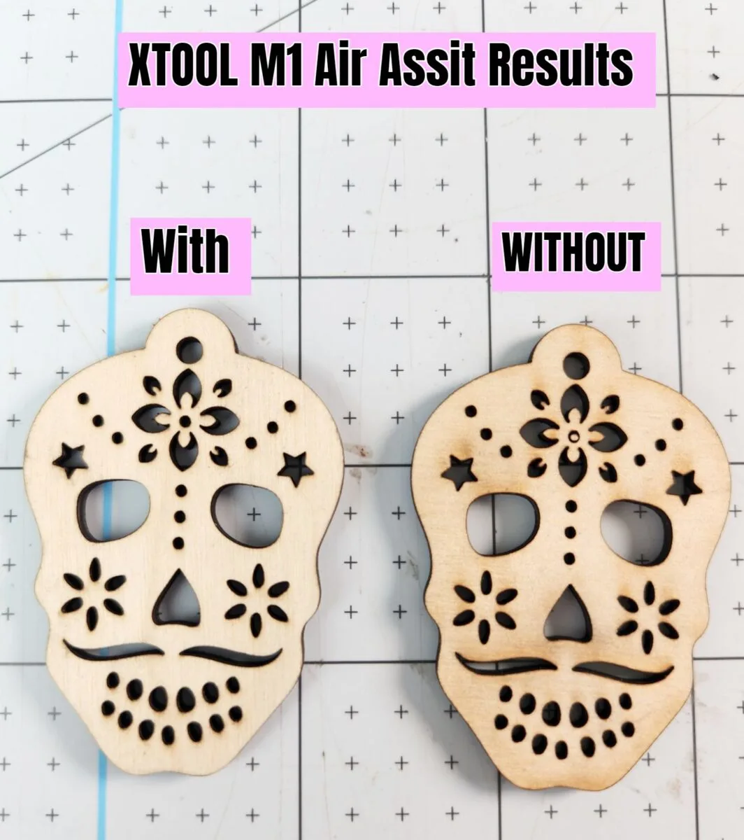 xtool air assist review m